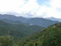Castagnicca