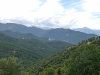 Castagnicca
