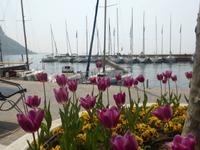 Garda - Frühling