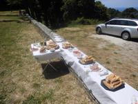 Picknick am Cap Corse