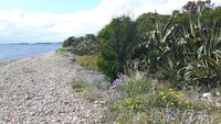 Strand bei Quartu Sant'Elena