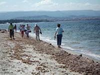 Strandwanderung