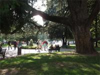 Verona. Stadtpark