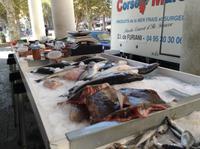 am Fischstand