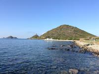 die Blutinseln