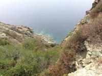 wilde Landschaft