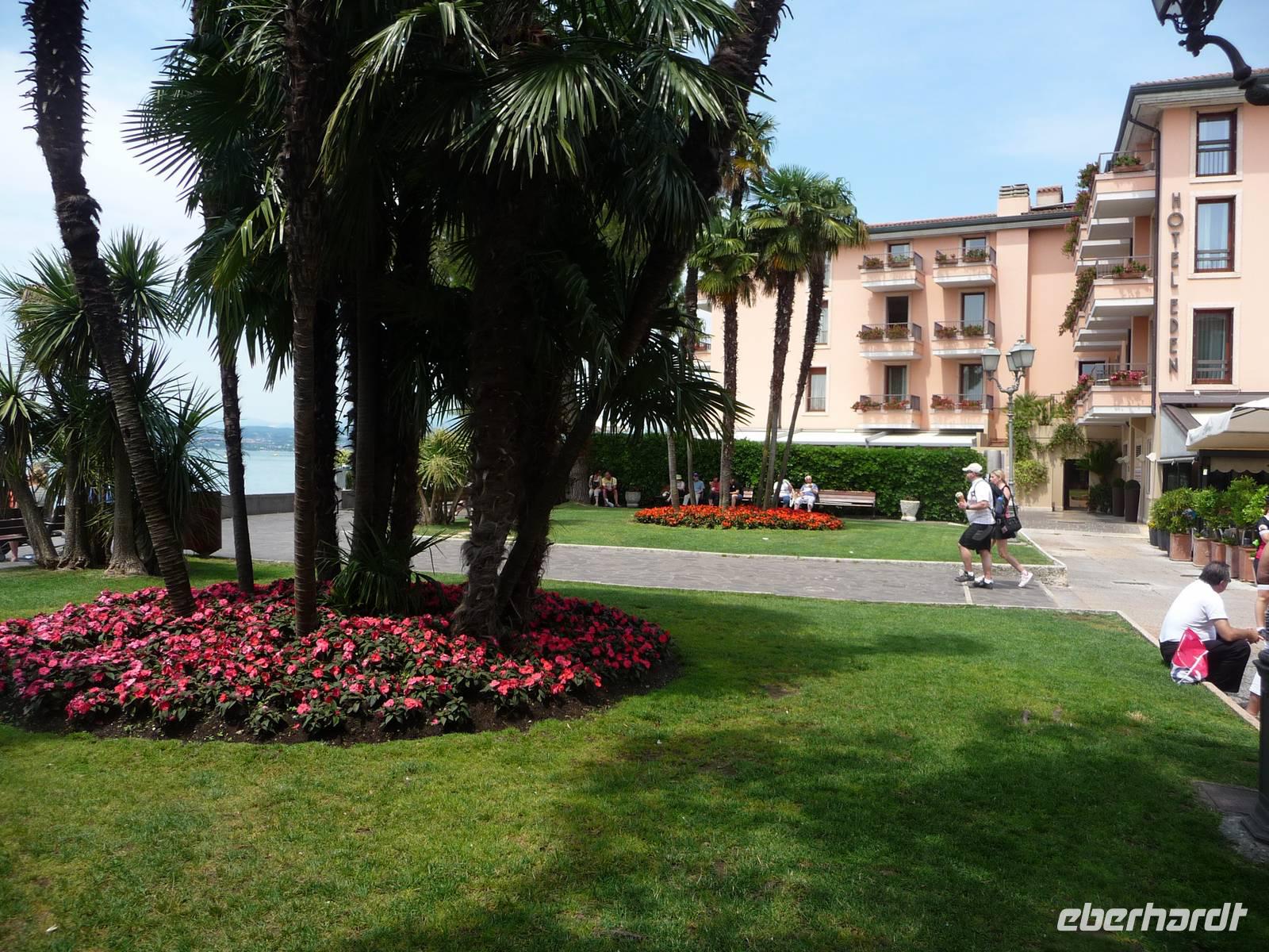 Fleißige Lieschen unter Palmen.