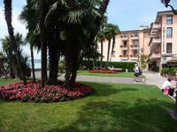 Fleißige Lieschen unter Palmen.