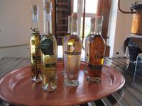 Grappaverkostung  Marzadro