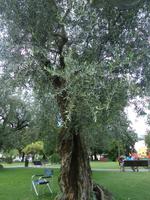 100_Riva_Impressionen