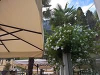 Mediterrane Atmosphäre.