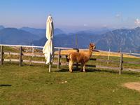 Einfach sanft und schön  !