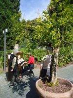 35_Sirmione_Konzert i.Kurpark