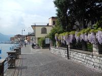 Monteisola
