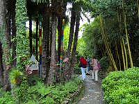 Wandern durch den Garten.