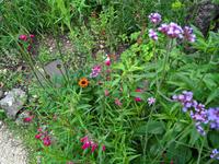 Blumenpracht im Hellergarten.