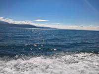 Zauberhafter Gardasee