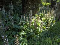 Auch auf dieser Insel wunderbare Natur.