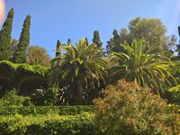 ... eine großartige Insel !