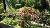 4-Villa Carlotta_003