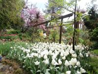 Heller Garten Gardone Riviera