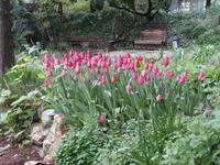 Heller Garten Gardone Riviera