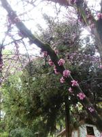 Heller Garten Gardone Riviera