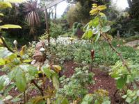 Heller Garten Gardone Riviera