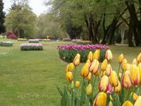 Parco Sigurta in Valeggio sul Mincio