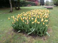 Parco Sigurta in Valeggio sul Mincio