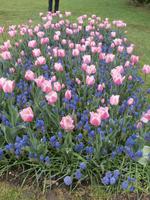 Parco Sigurta in Valeggio sul Mincio