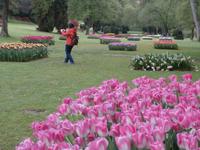 Parco Sigurta in Valeggio sul Mincio