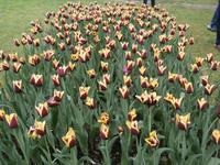 Parco Sigurta in Valeggio sul Mincio