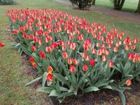 Parco Sigurta in Valeggio sul Mincio