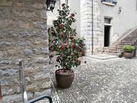 Malcesine am Gardasee