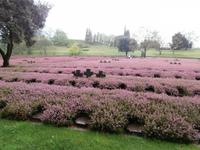 Deutscher Soldatenfriedhof Costermano