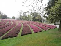 Deutscher Soldatenfriedhof Costermano