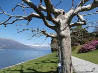 Villa Melzi auf Bellagio