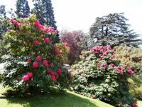 Villa Melzi auf Bellagio