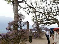 Gärten der Villa Balbianello in Lenno