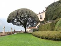 Steineiche-Villa Balbianello in Lenna