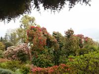 Gärten der Villa Carlotta