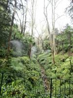 Gärten der Villa Carlotta