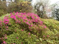 Gärten der Villa Carlotta