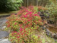 Gärten der Villa Carlotta