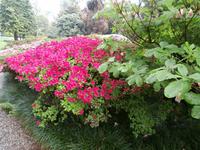 Gärten der Villa Carlotta