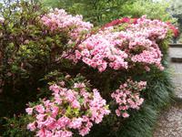 Gärten der Villa Carlotta