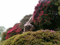 Gärten der Villa Carlotta