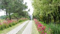 61-Park Sigurta_066
