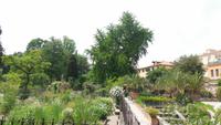 82-Botan Garten Padua_004- Ältester Ginko Europas